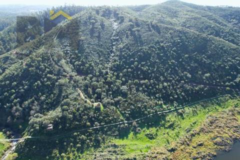 Terreno Rústico  Venda em Arez e Amieira do Tejo,Nisa