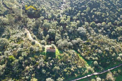 Terreno Rústico  Venda em Arez e Amieira do Tejo,Nisa