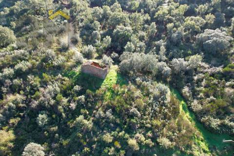Terreno Rústico  Venda em Arez e Amieira do Tejo,Nisa