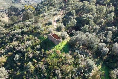 Terreno Rústico  Venda em Arez e Amieira do Tejo,Nisa