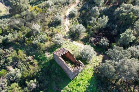 Terreno Rústico  Venda em Arez e Amieira do Tejo,Nisa