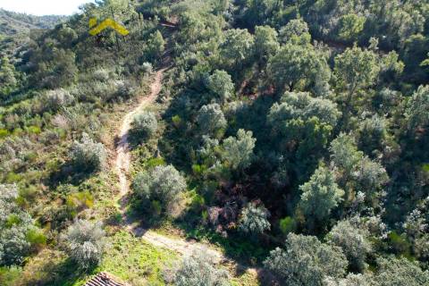 Terreno Rústico  Venda em Arez e Amieira do Tejo,Nisa