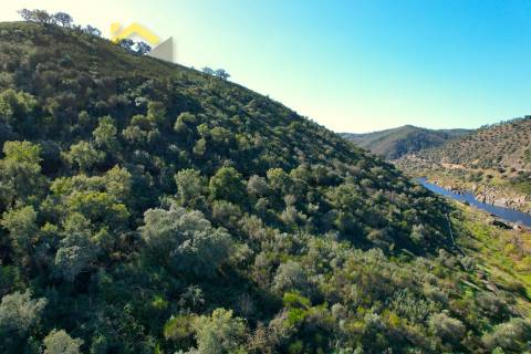 Terreno Rústico  Venda em Arez e Amieira do Tejo,Nisa
