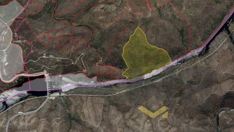 Terreno Rústico  Venda em Arez e Amieira do Tejo,Nisa
