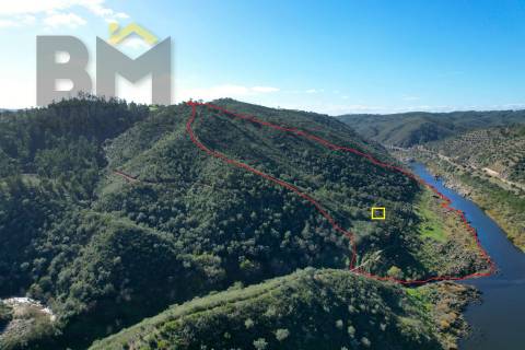 Terreno Rústico  Venda em Arez e Amieira do Tejo,Nisa