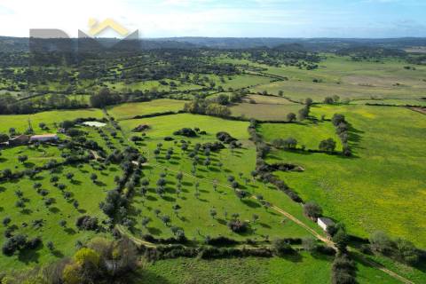Quinta  Venda em Oledo,Idanha-a-Nova