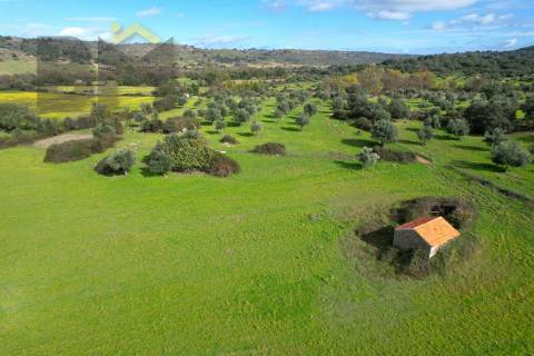 Quinta  Venda em Oledo,Idanha-a-Nova