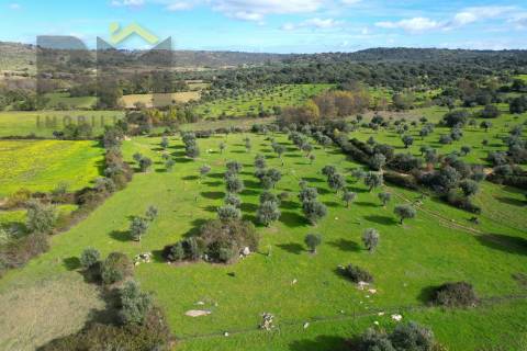 Quinta  Venda em Oledo,Idanha-a-Nova