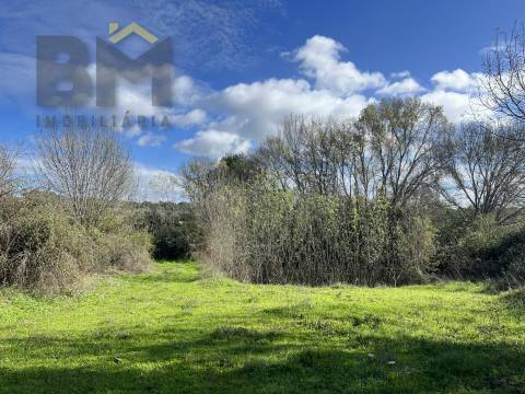 Quinta  Venda em Oledo,Idanha-a-Nova