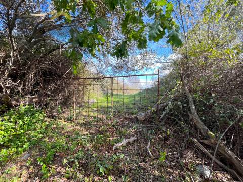 Quinta  Venda em Oledo,Idanha-a-Nova