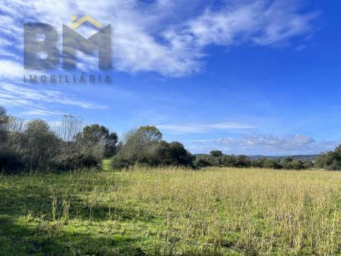 Quinta  Venda em Oledo,Idanha-a-Nova