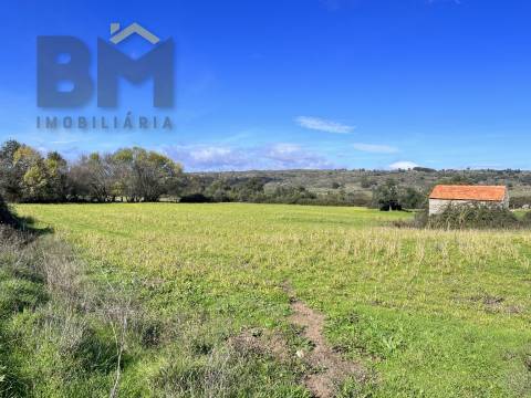 Quinta  Venda em Oledo,Idanha-a-Nova