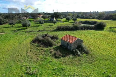 Quinta  Venda em Oledo,Idanha-a-Nova