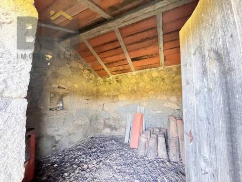 Quinta  Venda em Oledo,Idanha-a-Nova