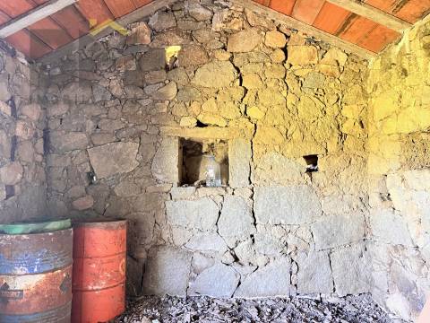 Quinta  Venda em Oledo,Idanha-a-Nova