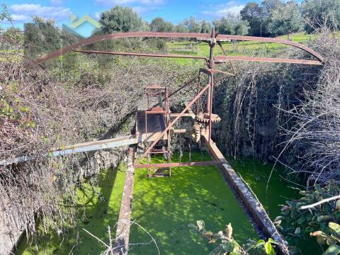 Quinta  Venda em Oledo,Idanha-a-Nova