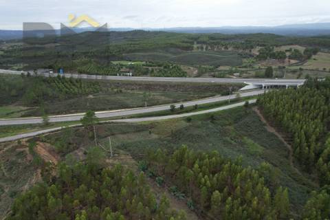 Terreno Rústico  Venda em Fratel,Vila Velha de Rodão