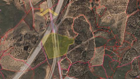 Terreno Rústico  Venda em Fratel,Vila Velha de Rodão