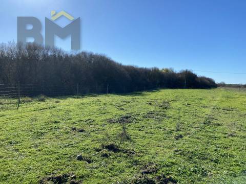 Terreno Rústico  Venda em Escalos de Baixo e Mata,Castelo Branco