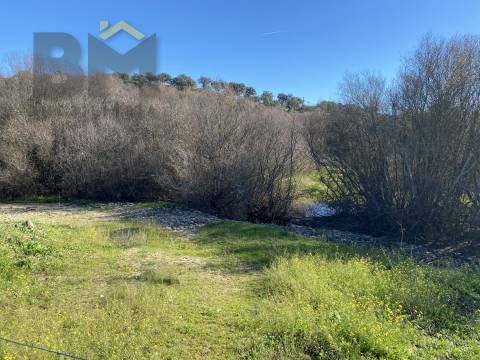 Terreno Rústico  Venda em Escalos de Baixo e Mata,Castelo Branco