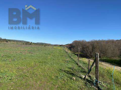 Terreno Rústico  Venda em Escalos de Baixo e Mata,Castelo Branco