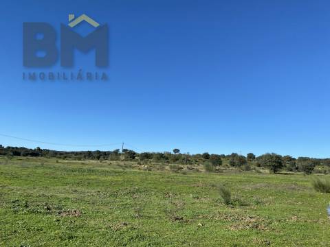 Terreno Rústico  Venda em Escalos de Baixo e Mata,Castelo Branco