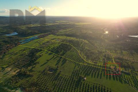 Terreno Rústico  Venda em Escalos de Baixo e Mata,Castelo Branco