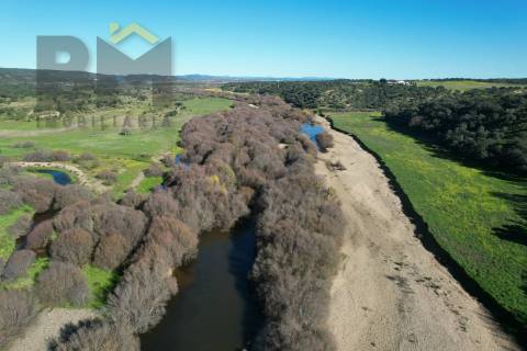 Terreno Rústico  Venda em Escalos de Baixo e Mata,Castelo Branco