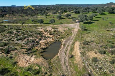 Terreno Rústico  Venda em Escalos de Baixo e Mata,Castelo Branco