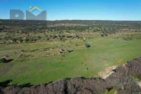 Terreno Rústico  Venda em Escalos de Baixo e Mata,Castelo Branco