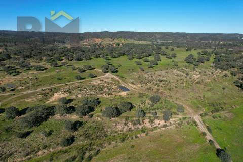 Terreno Rústico  Venda em Escalos de Baixo e Mata,Castelo Branco
