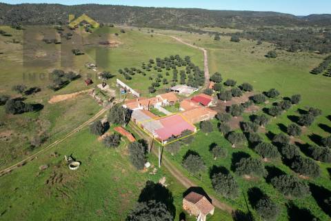 Terreno Rústico  Venda em Escalos de Baixo e Mata,Castelo Branco