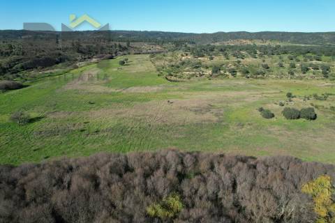 Terreno Rústico  Venda em Escalos de Baixo e Mata,Castelo Branco