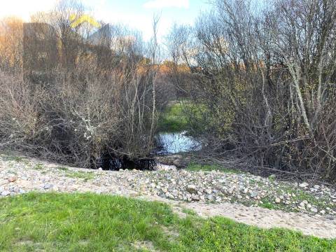 Terreno Rústico  Venda em Escalos de Baixo e Mata,Castelo Branco