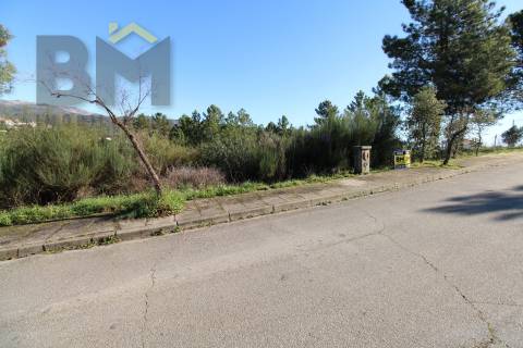 Terreno Para Construção  Venda em São Vicente da Beira,Castelo Branco