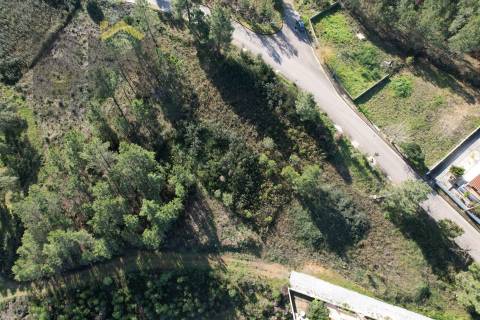 Terreno Para Construção  Venda em São Vicente da Beira,Castelo Branco