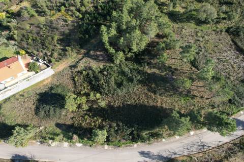 Terreno Para Construção  Venda em São Vicente da Beira,Castelo Branco