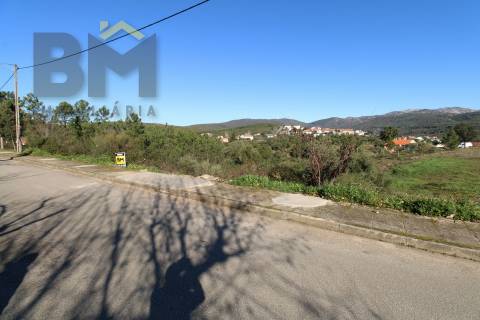 Terreno Para Construção  Venda em São Vicente da Beira,Castelo Branco