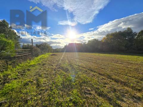 Terreno Rústico  Venda em Soalheira,Fundão
