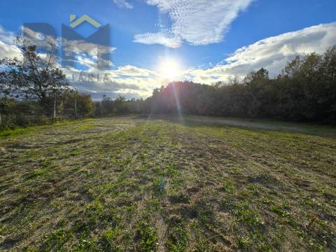 Terreno Rústico  Venda em Soalheira,Fundão