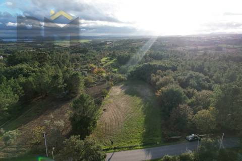 Terreno Rústico  Venda em Soalheira,Fundão