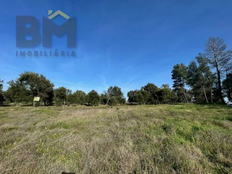 Terreno Rústico  Venda em Ladoeiro,Idanha-a-Nova