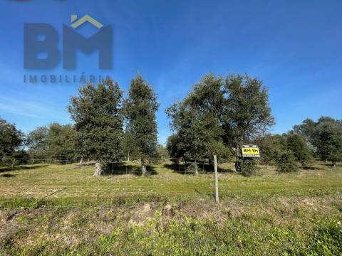 Terreno Rústico  Venda em Ladoeiro,Idanha-a-Nova