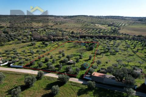 Terreno Rústico  Venda em Toulões,Idanha-a-Nova