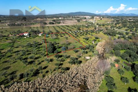 Terreno Rústico  Venda em Toulões,Idanha-a-Nova