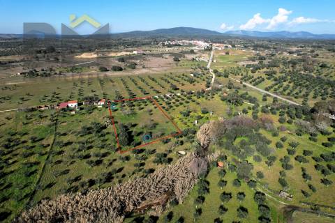 Terreno Rústico  Venda em Toulões,Idanha-a-Nova