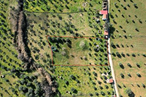 Terreno Rústico  Venda em Toulões,Idanha-a-Nova