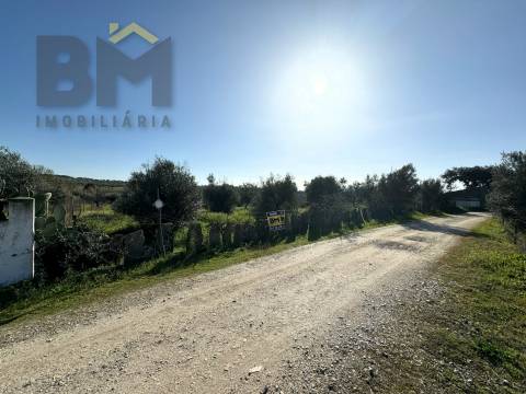 Terreno Rústico  Venda em Toulões,Idanha-a-Nova