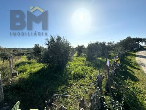 Terreno Rústico  Venda em Toulões,Idanha-a-Nova