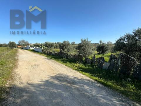 Terreno Rústico  Venda em Toulões,Idanha-a-Nova